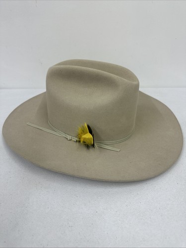 Resistol beaver cattleman - beaver,